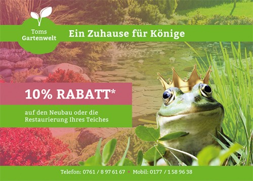 Firmenprofil von: Jetzt küsst Sie der Frosch